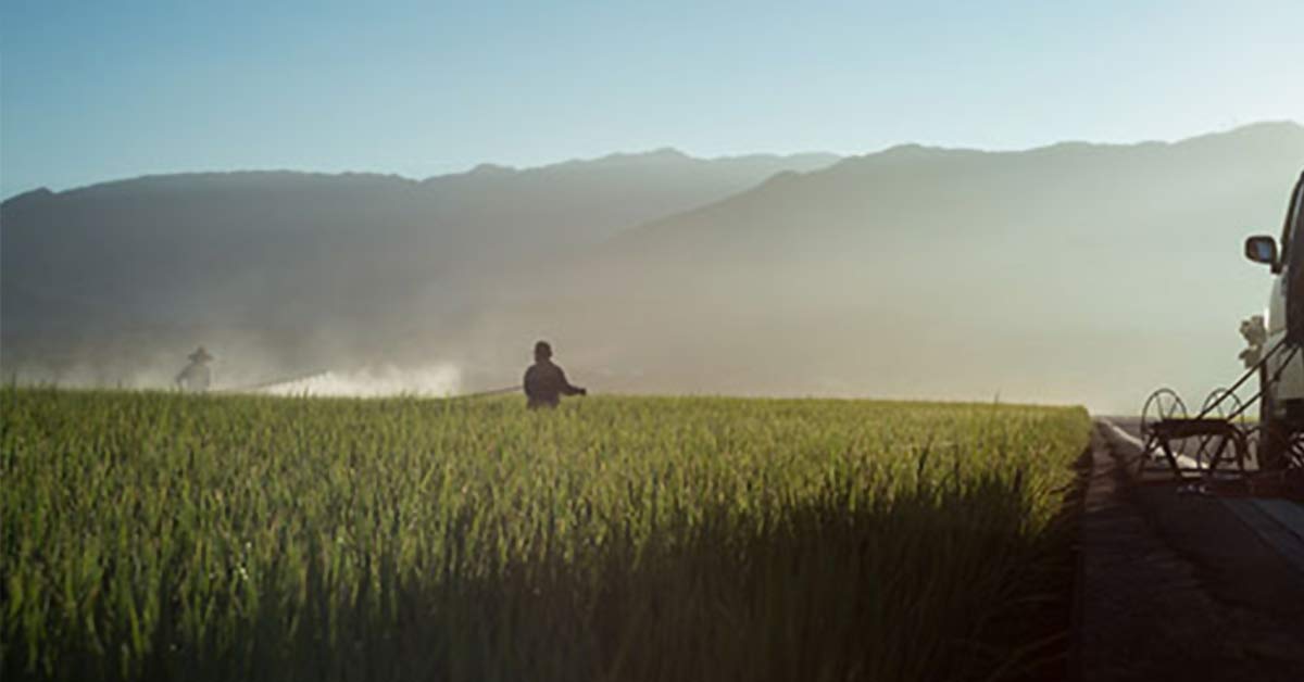 press-coverage-article4