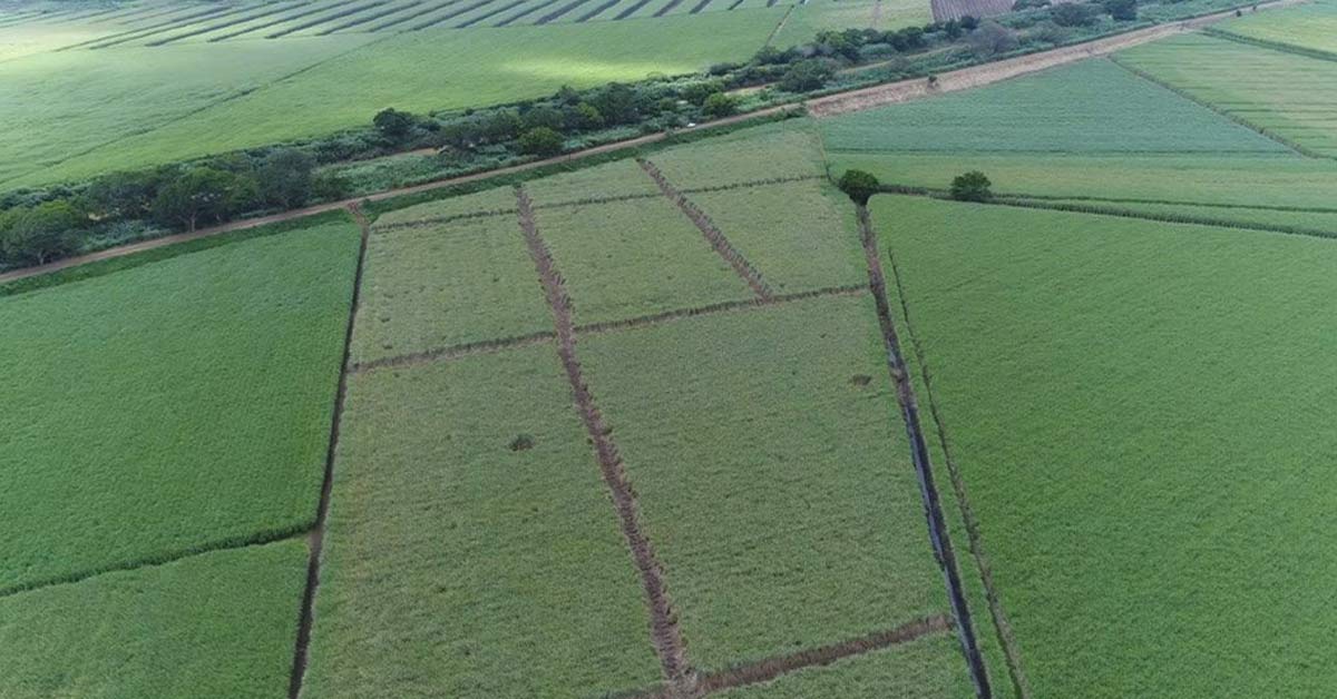 press-coverage-article5